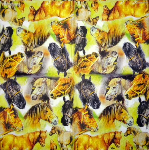 051 Pferde - 3-lagig - Ambiente